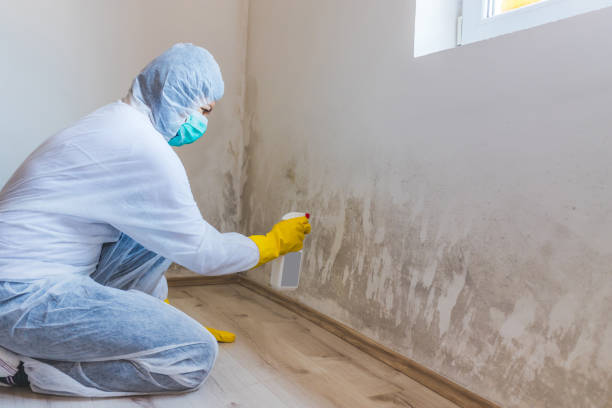 Mold inspector in Scotts performing thermal imaging